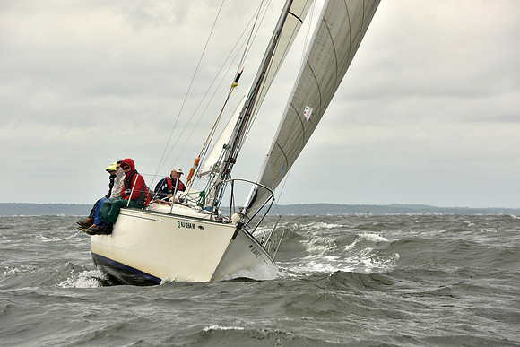2018 Vineyard Race A_0780