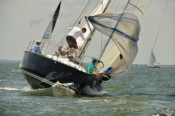2015 Southern Bay Race Week A 346