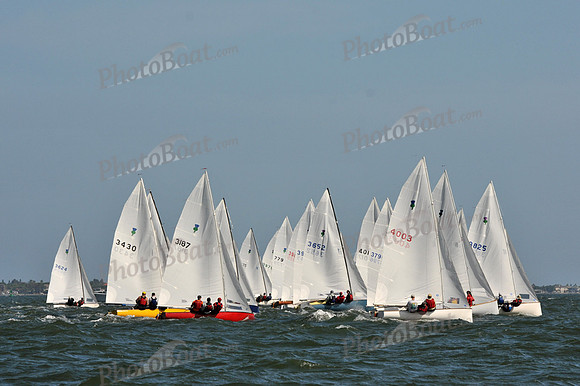 2012 Thistle Midwinters B 478