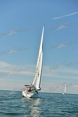 2015 Cape Charles Cup C 446