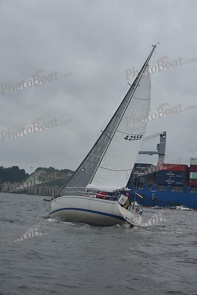 AMC_3524