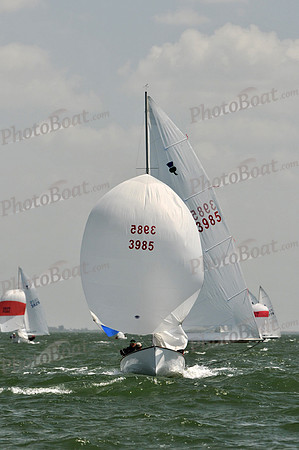 2012 Thistle MidWinters B 1252