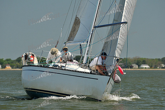 2013 Southern Bay Race Week A 241