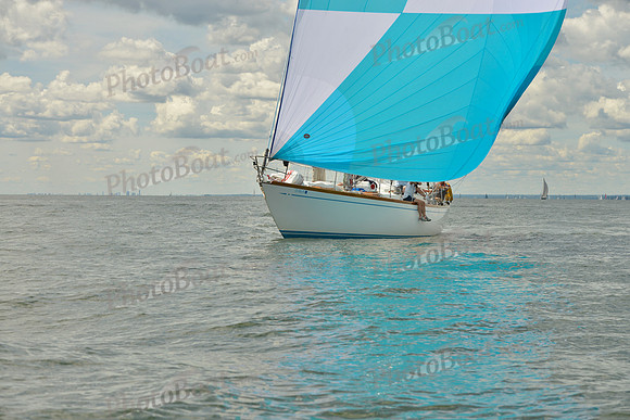 2016 Vineyard Race A_1025