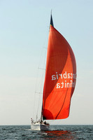 2013 Vineyard Race A 1798