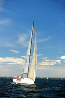 2014 Vineyard Race A 1354