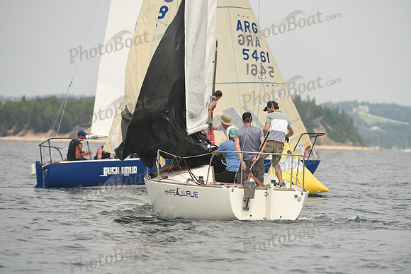 2016 Chester Race Week D_0261