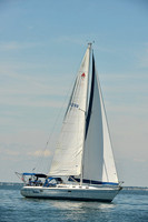 2015 Cape Charles Cup A 259