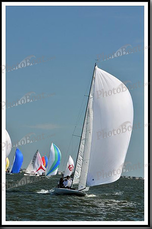 proof_2010_EScows_E 1059