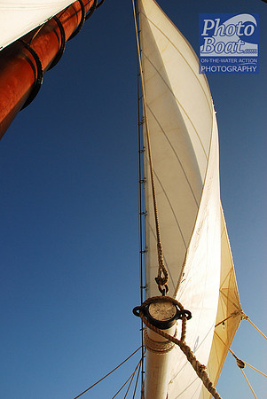 PhotoBoat (101)
