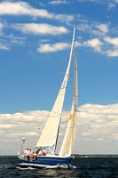 2014 Vineyard Race A 457