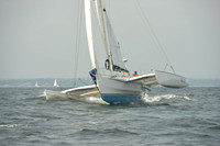 2015 Vineyard Race B 167