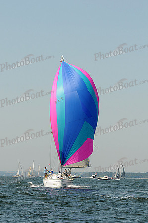 2012 Vineyard Race A 072