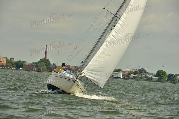 2016 Southern Bay Race Week G_0261