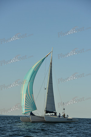 2015 Vineyard Race C 774