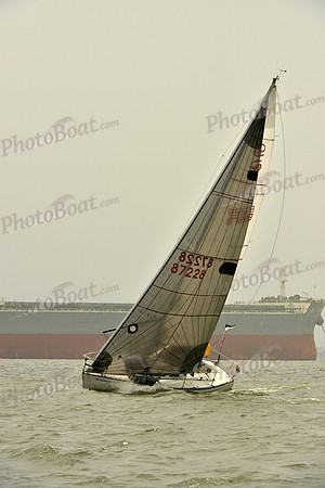 2016 Southern Bay Race Week A_1004