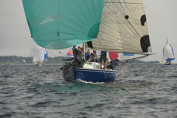 2016 Chester Race Week C_1632