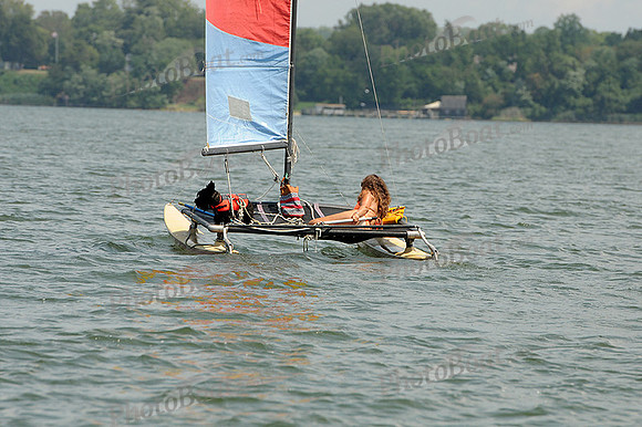 2012 Gov Cup D 291