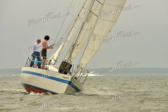 2016 Southern Bay Race Week A_1162