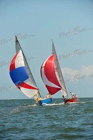 2015 Southern Bay Race Week C 1534