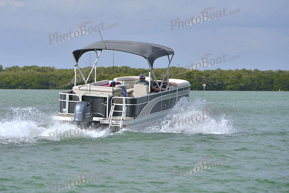 2019 Feb 10 Tampa Bay B_0418