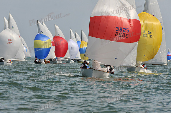 2012 Thistle Midwinters B 1384