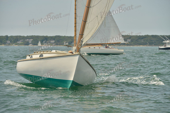 2018 Vineyard Cup B_0031