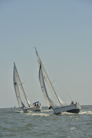 2017 Charleston Race Week A_0445