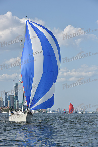 2019 ALIR_0411