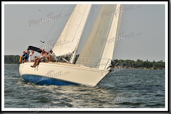 proof_2010 Gov Cup D 374