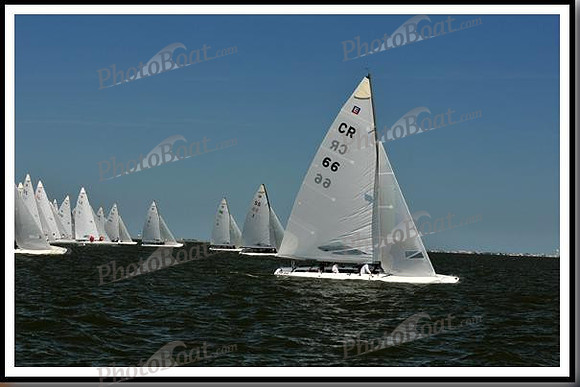 proof_2010_EScows_E 671