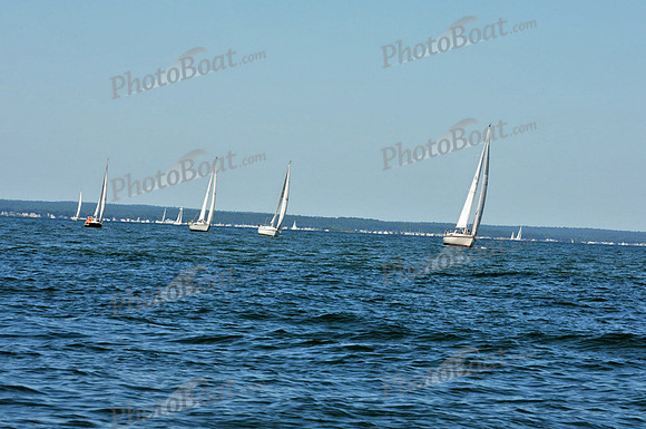 2010 Leukemia Cup B 367