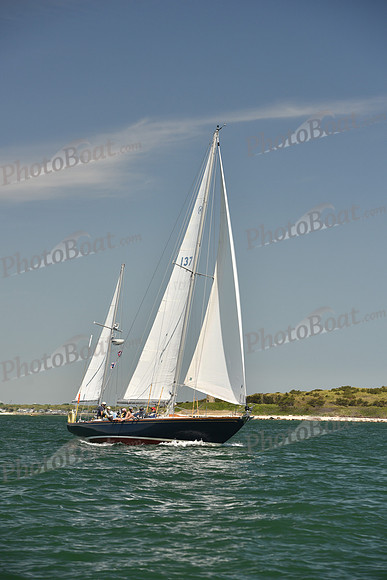 2024 Figawi 0239