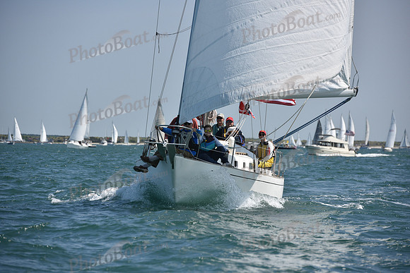 2019 Figawi_0288