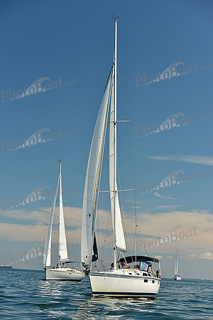 2015 Cape Charles Cup C 499