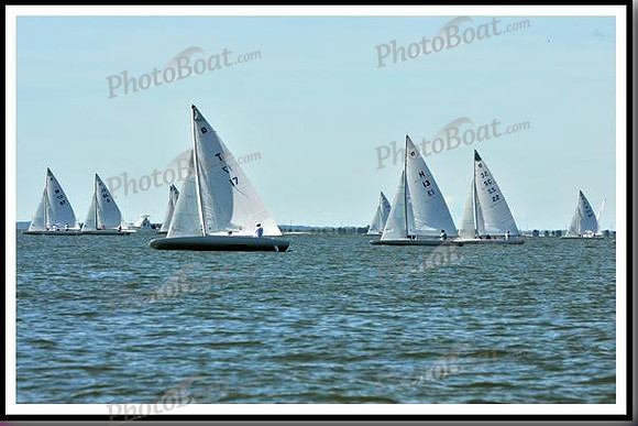 proof_2010_EScows_D 030