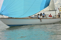 2016 Vineyard Race A_0998