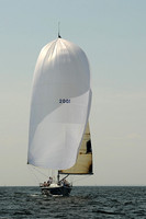2013 Vineyard Race A 1842