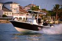 2019 Feb 10 Tampa Bay A_1416