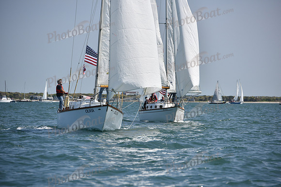 2019 Figawi_0022