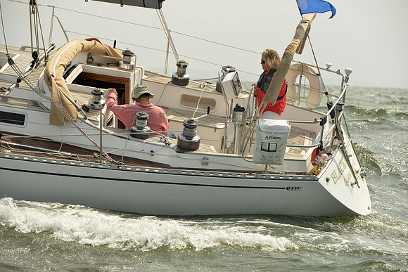 2015 Vineyard Race A 419