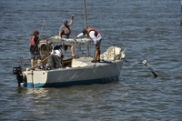 2016 NY Architects Regatta_0009