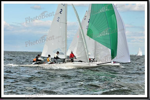 proof_2010_EScows_B 1163