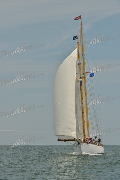 2018 Vineyard Cup B_0242